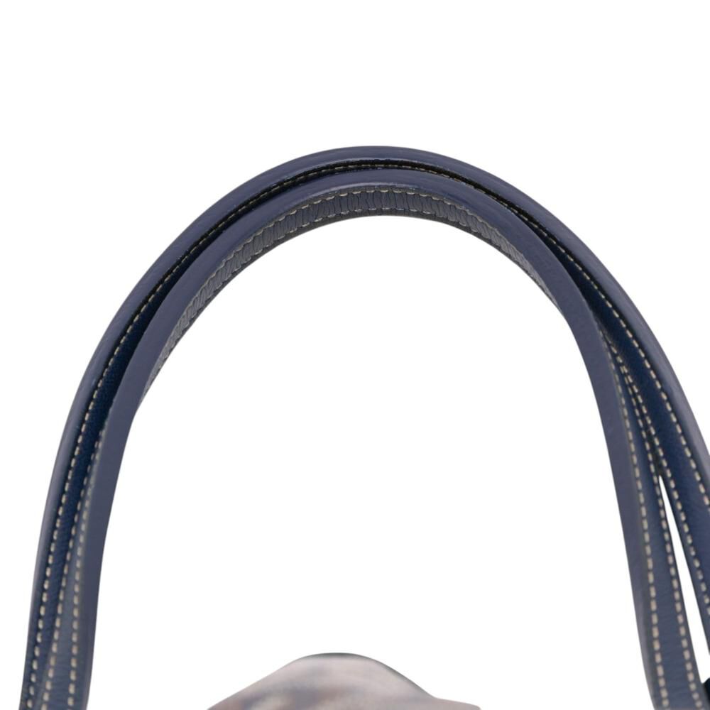 Goyard St Louis Tote