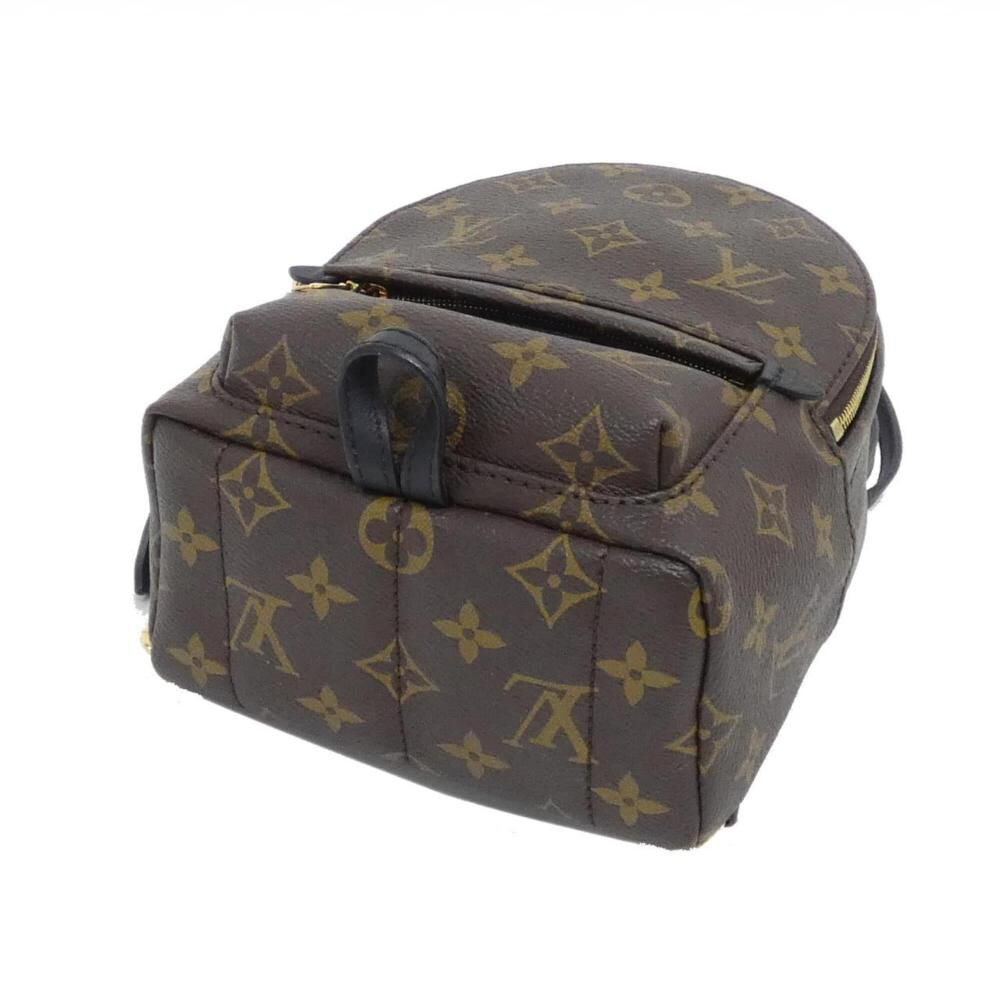 Louis Vuitton Palm Springs