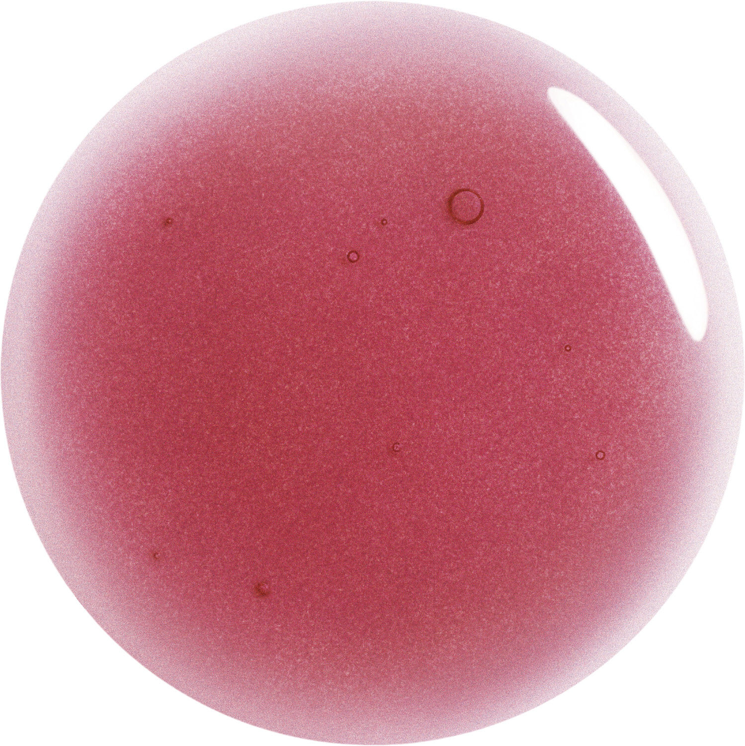 Prisma Glass Lip Gloss