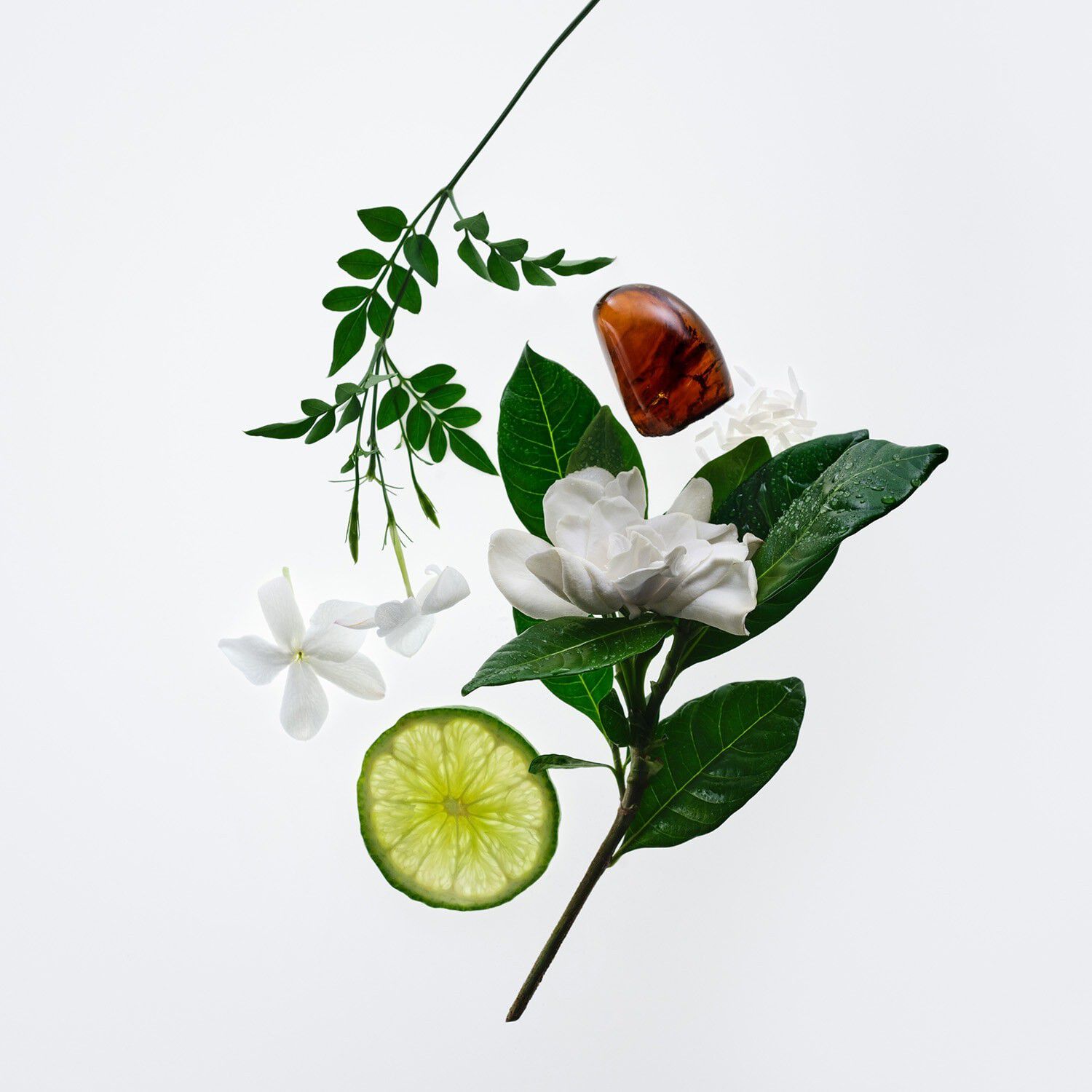 Glossier You Soie - Eau de Parfum