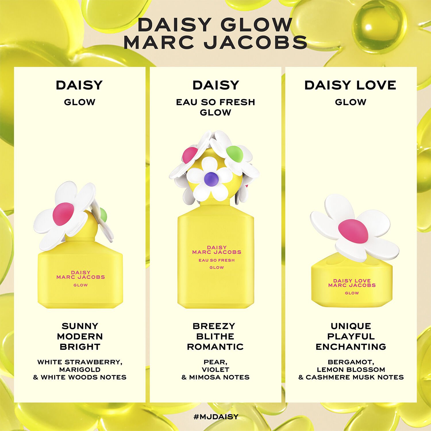 Daisy Love Glow