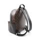 Louis Vuitton Discovery Backpack