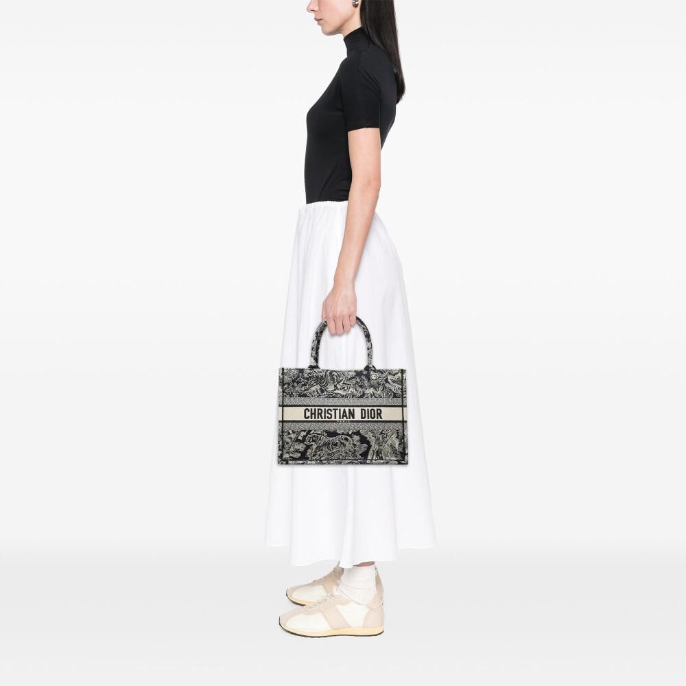 Dior Book Tote