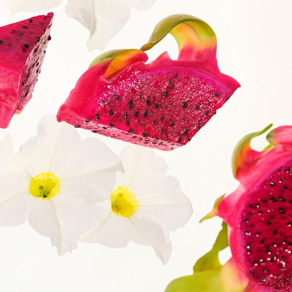 Beija Flor Party of Two - Duo-bokssæt