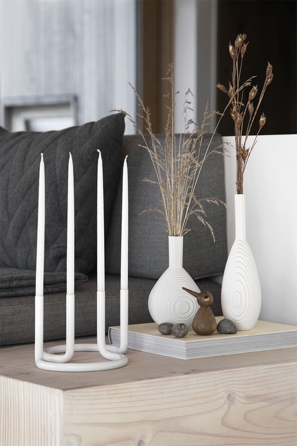 Bird lille egetræ røget