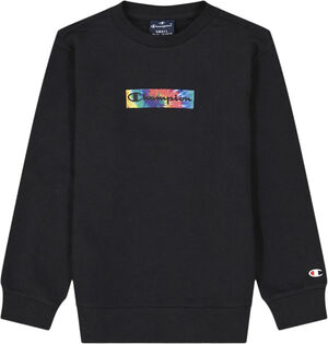 Tie-Dye Script Logo sweatshirt