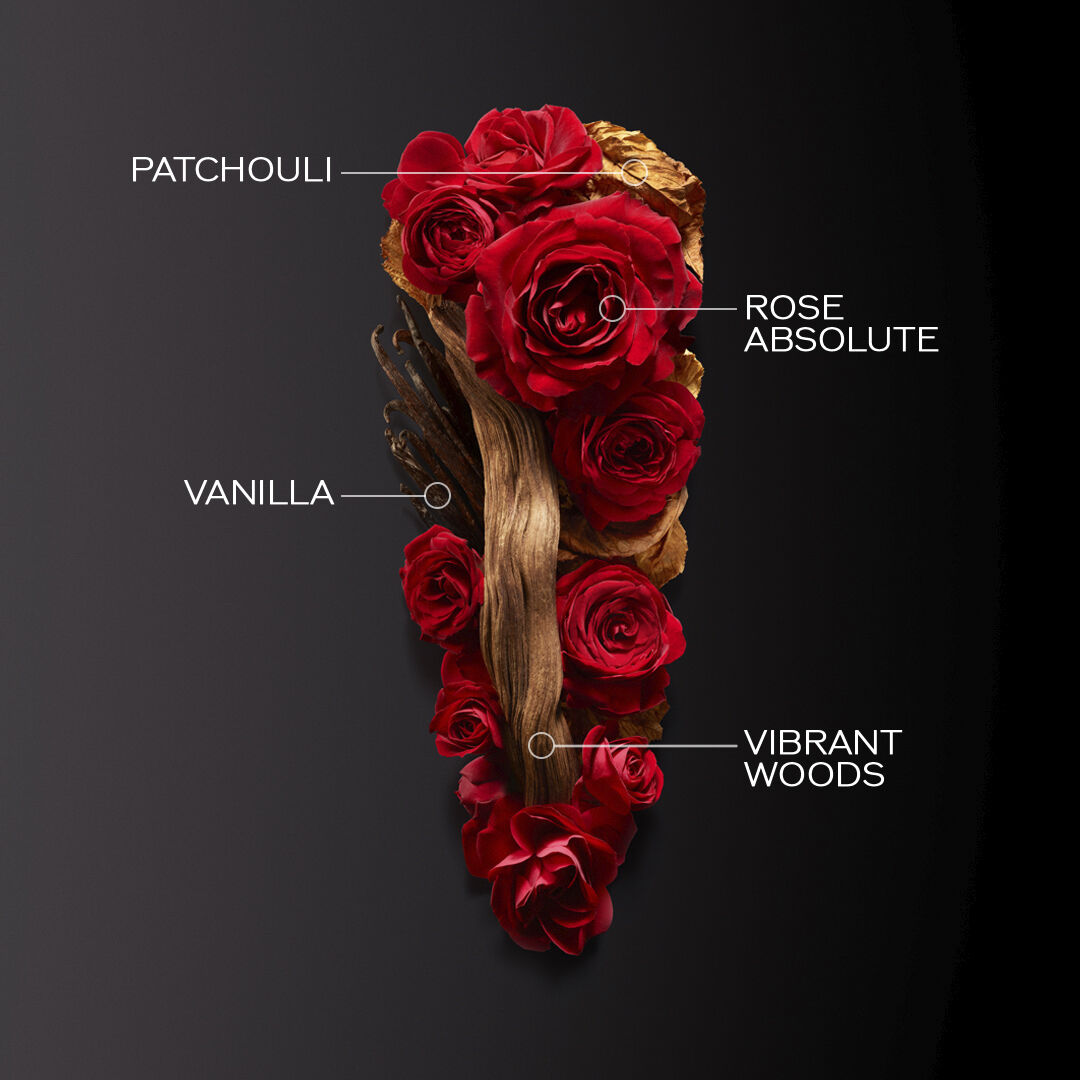 Ginza Eau de Parfum Intense