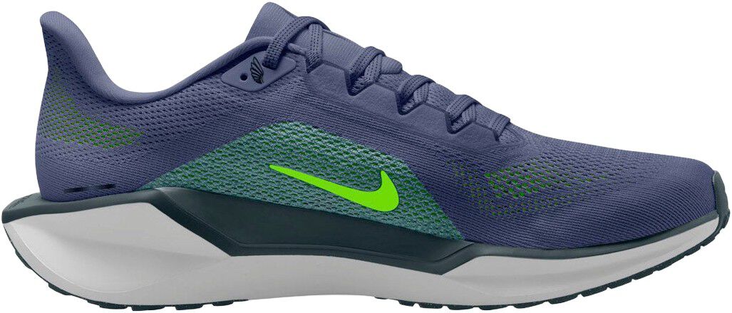 Pegasus 41 L&oslash;besko