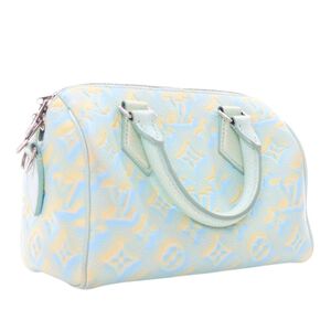 Louis Vuitton Speedy