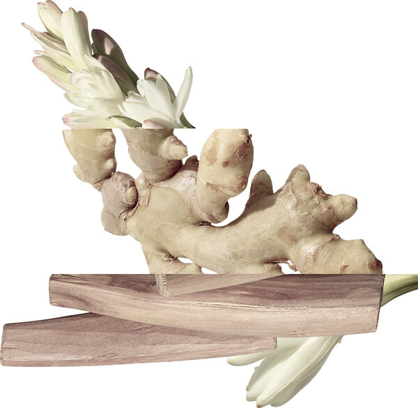 Twilly d'Hermès, Eau de parfum