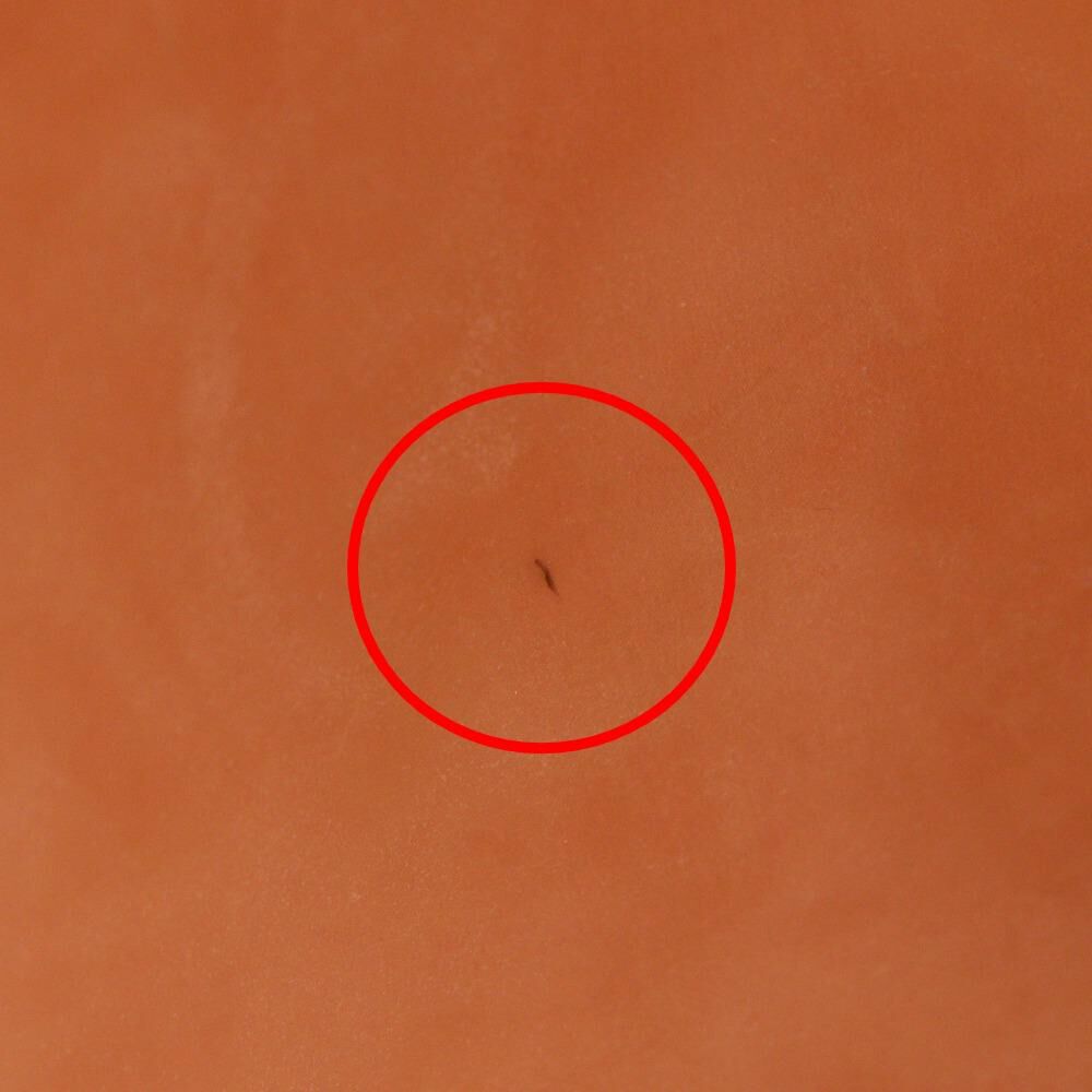 Bottega Veneta Handbag