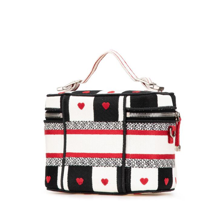 Dior Vanity Bag