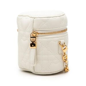 Dior Vanity Bag