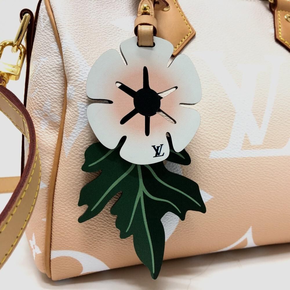 Louis Vuitton Speedy