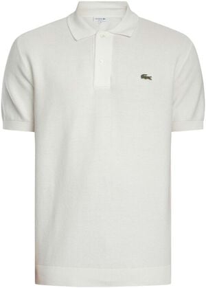 POLO SWEATERS MALE ADULT SWEATER