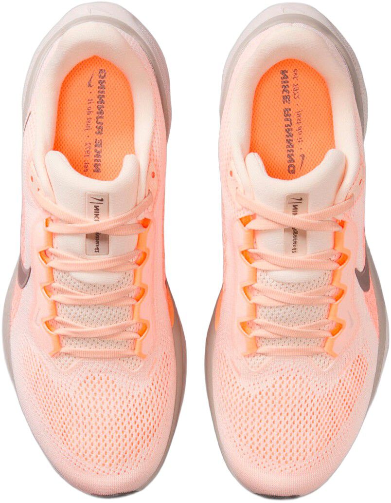 Pegasus 41 L&oslash;besko