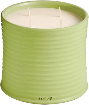 LOEWE Large Cucumber Candle
