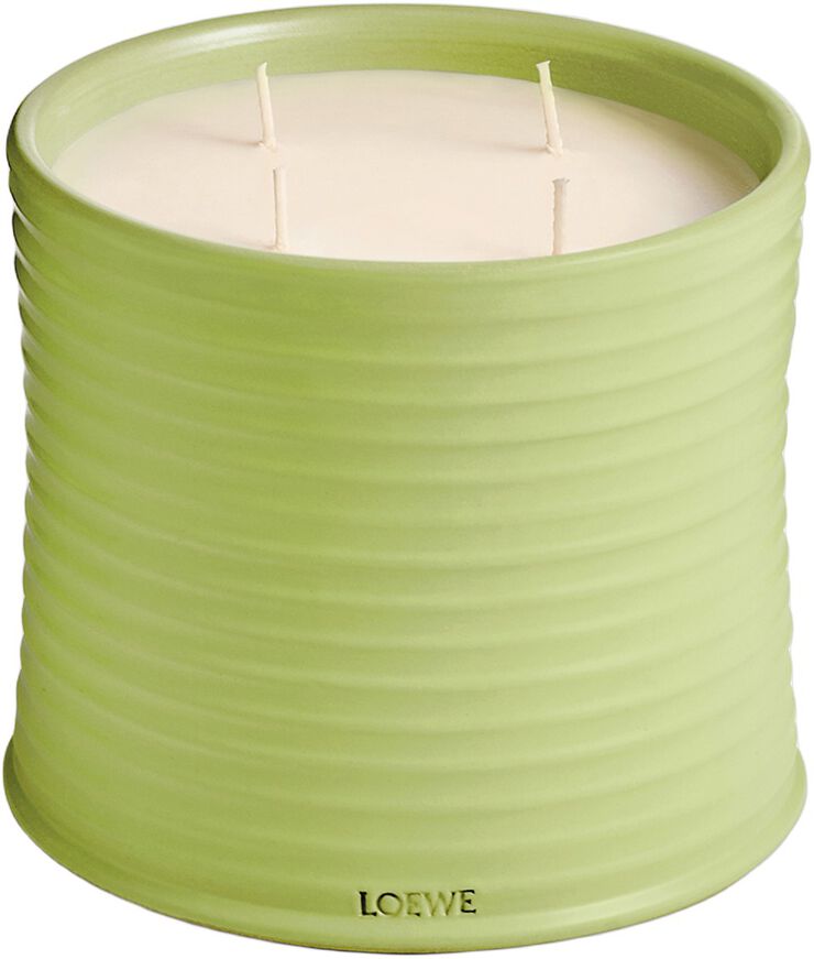 LOEWE Cucumber Large Candle