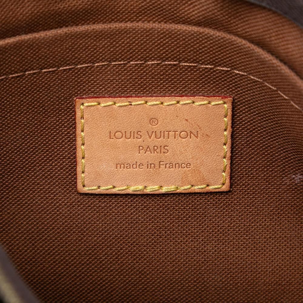 Louis Vuitton Pochette Accessoires