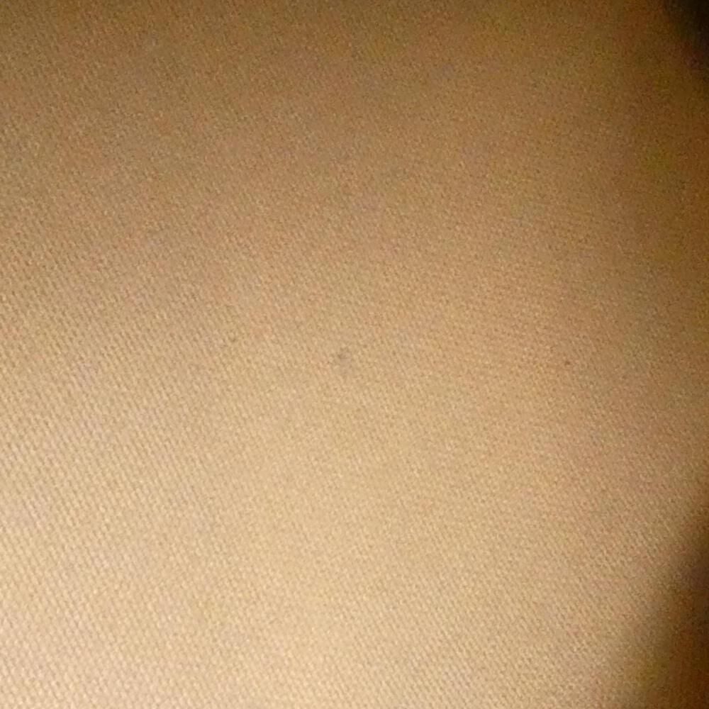 Louis Vuitton Neverfull