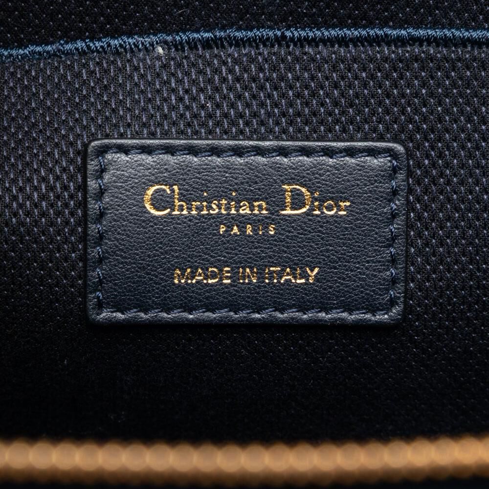 Dior Vanity Bag
