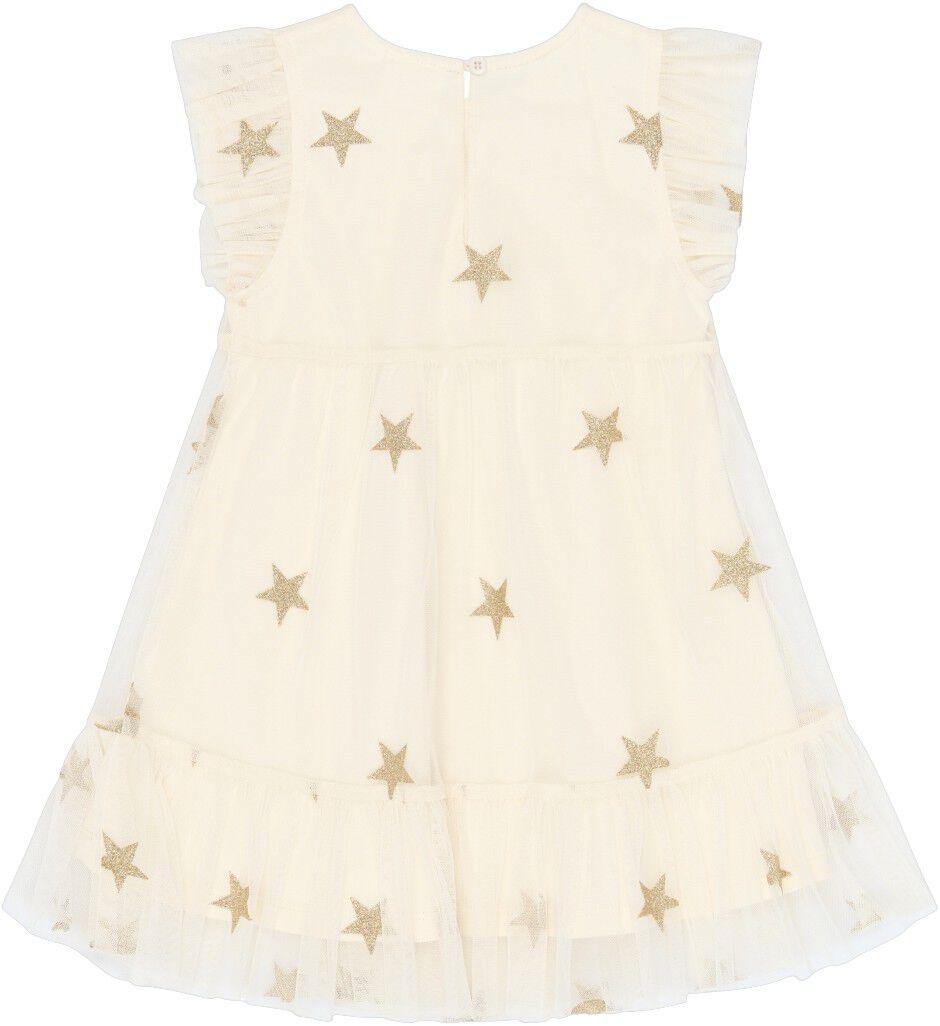 Tnstyamma Mesh S_L Dress