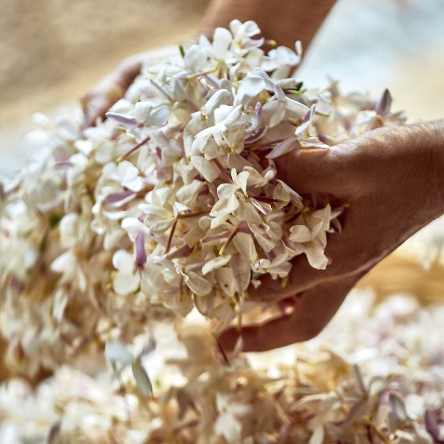 J'adore Eau de parfum