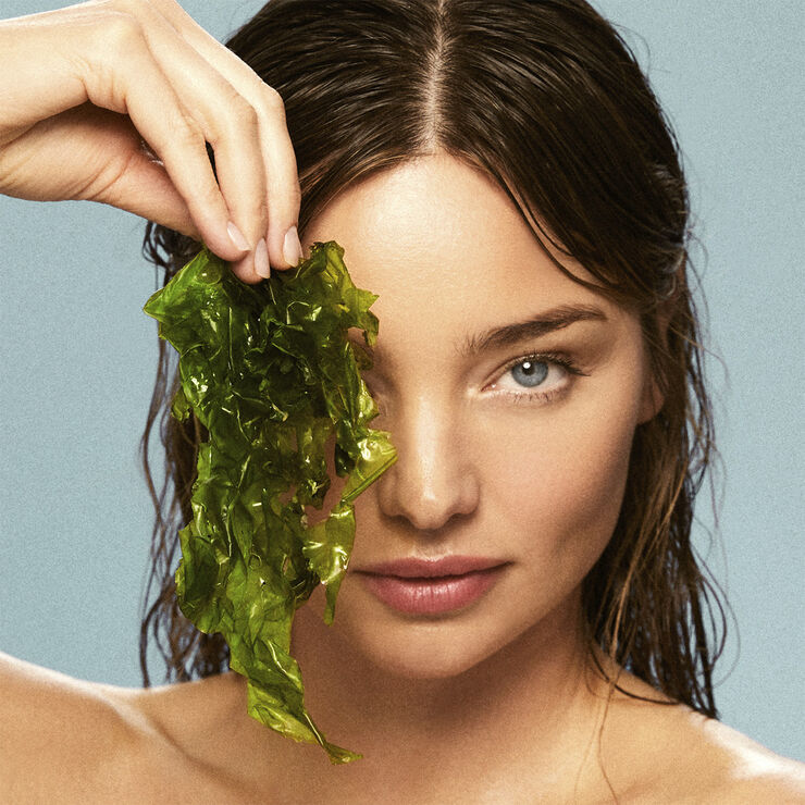 Active Algae Lightweight Moisturizer