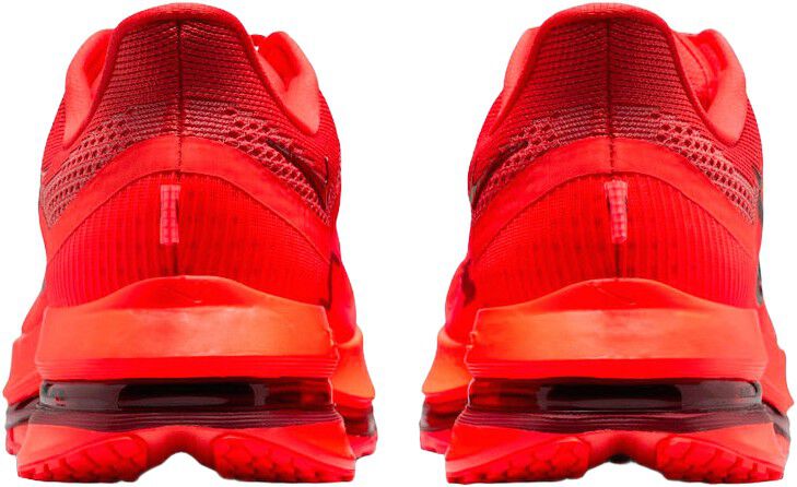 Pegasus Premium L&oslash;besko