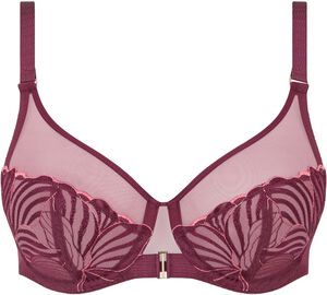 Legend Very Covering Bra