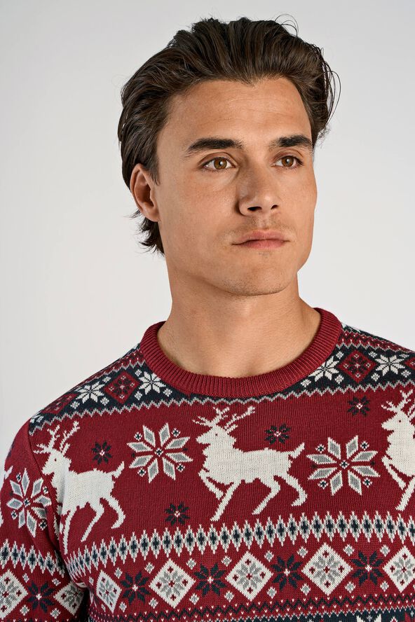Christmas knit