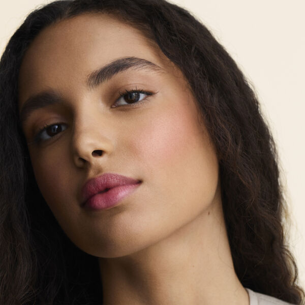 Rose Hermès Silky Blush Powder