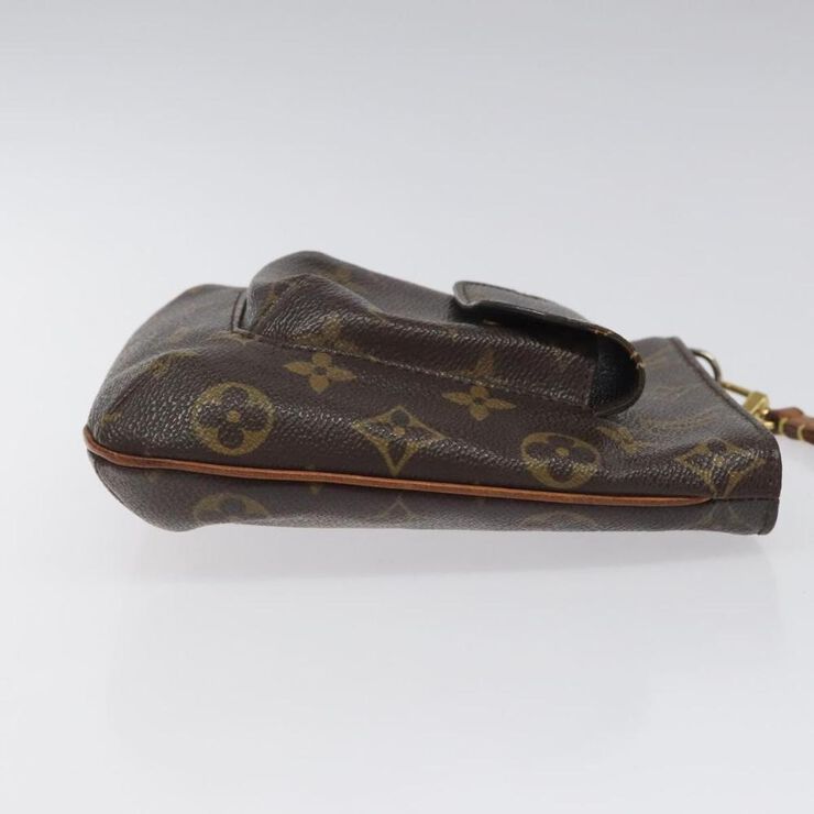 Louis Vuitton Pouch