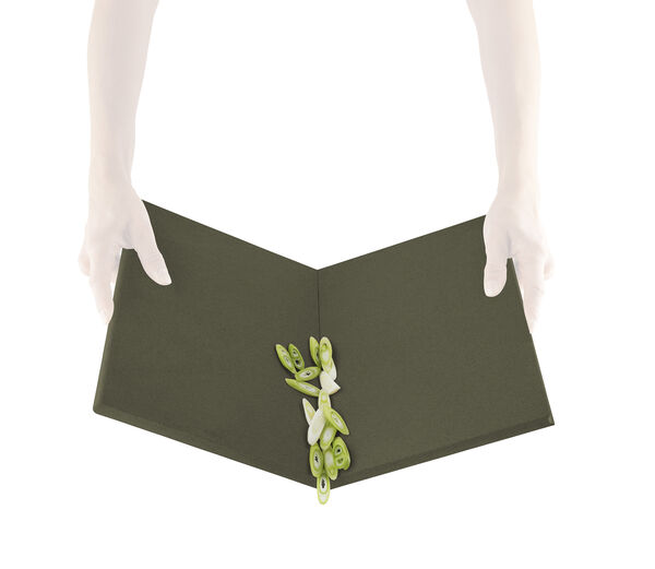 DoubleUp skærebræt Green tool