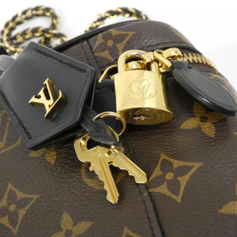 Louis Vuitton Handbag