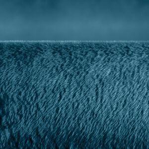 Beurer HD 75 Cosy Ocean Ny Varmeplaid 180x130cm