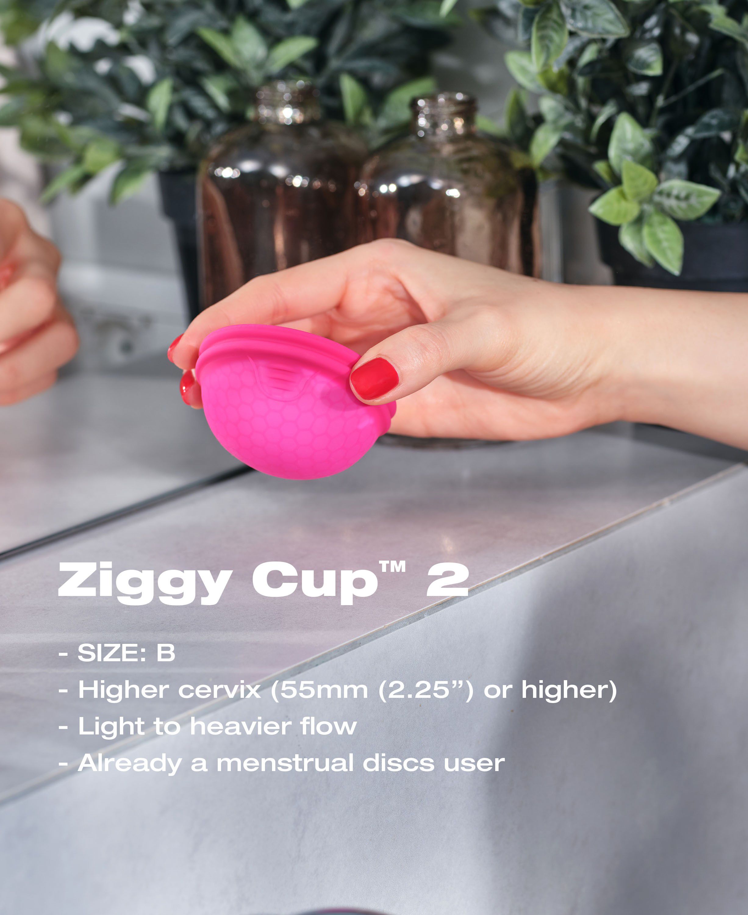 Ziggy Cup 2 Size B