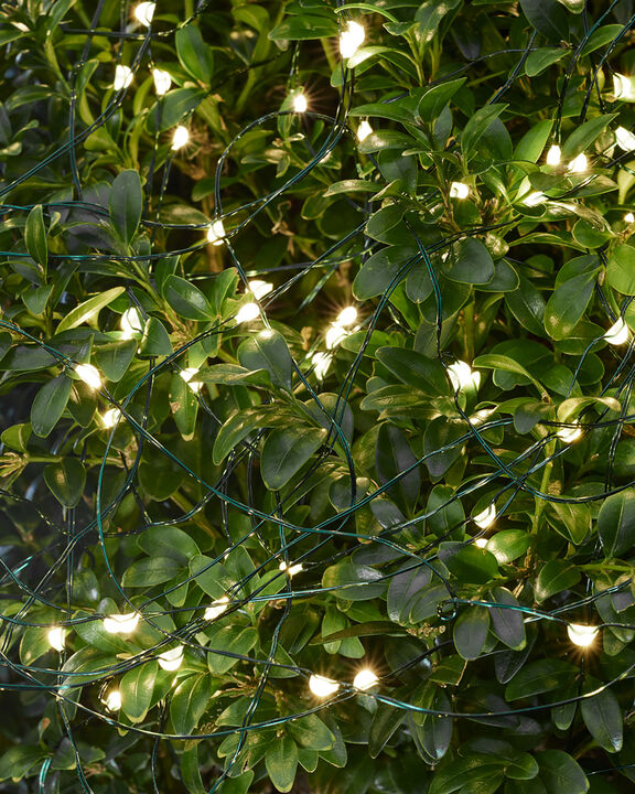 Knirke, Green, 1,6m+5m