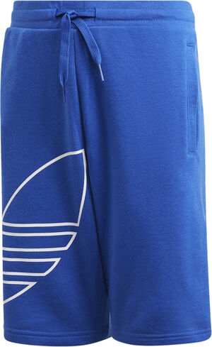 Big Logo Trefoil shorts