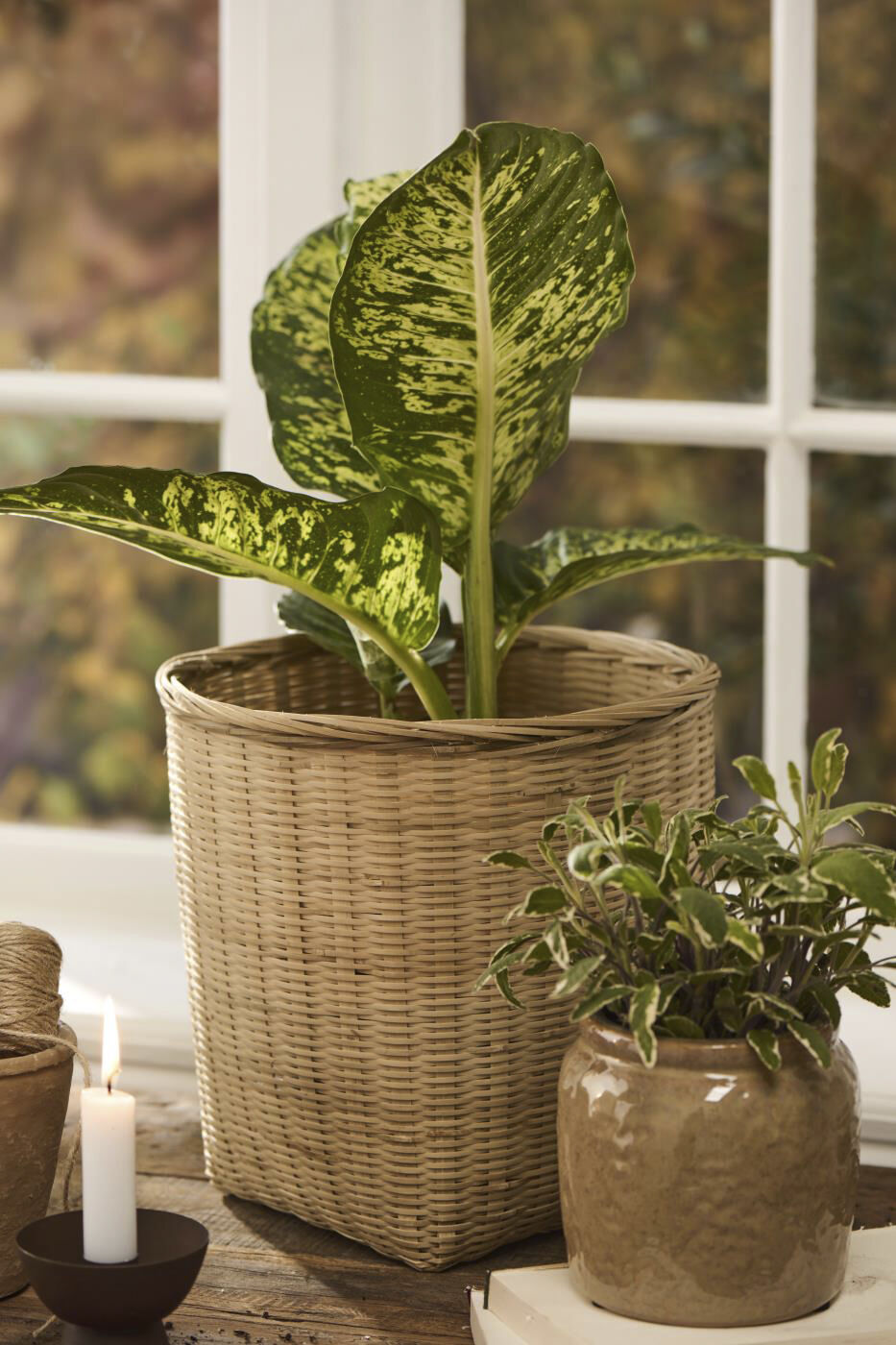 Kurv firkantet bund, rund top