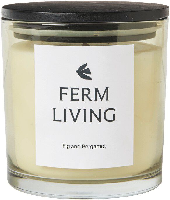 Vitto Scented Candle - H10 - Light Celedon