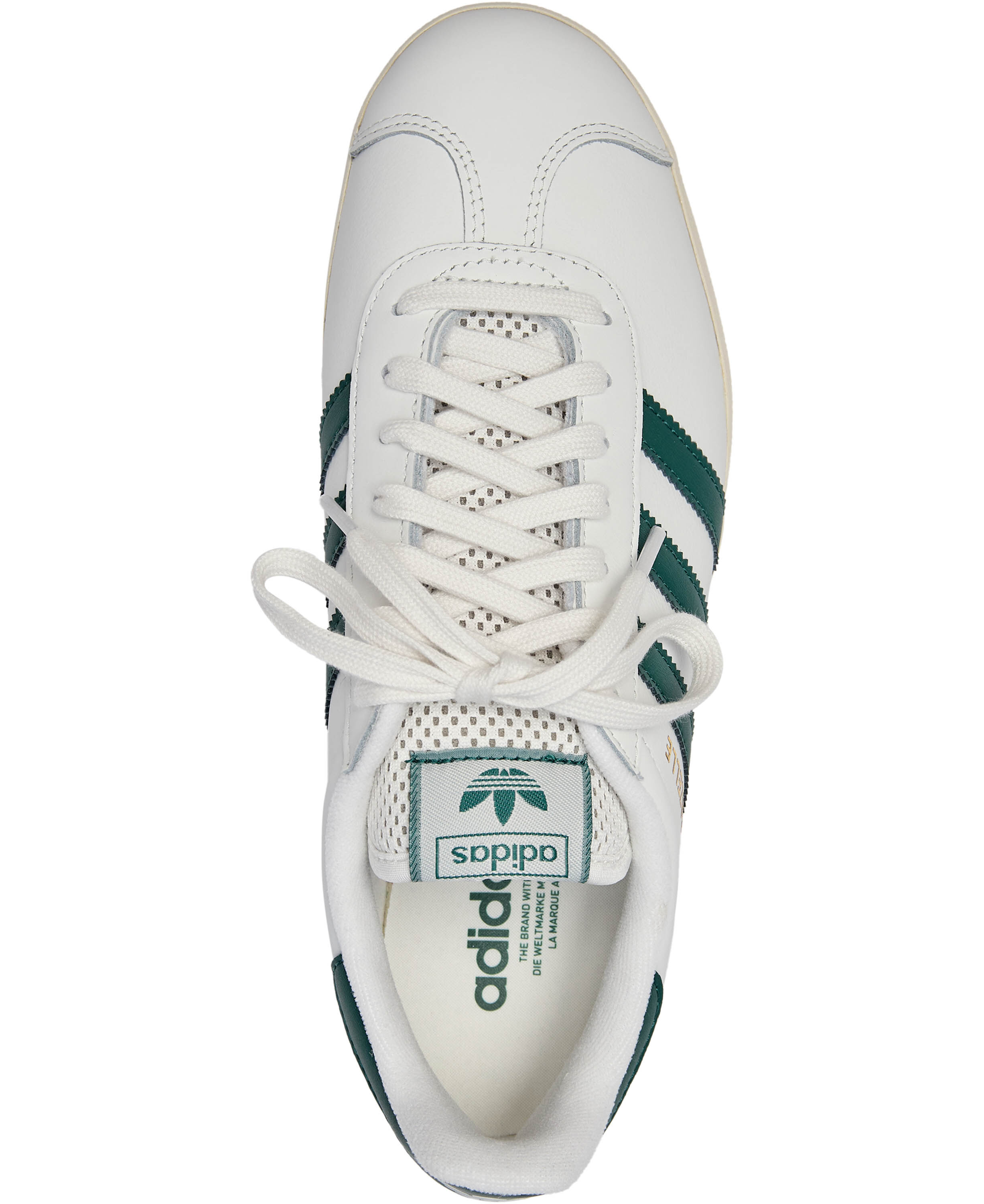 GAZELLE