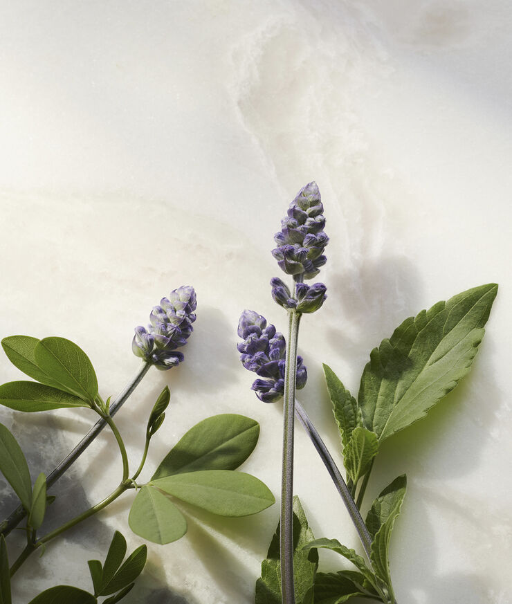 The Ritual of Namaste Glow Anti-Ageing Day Cream Refill