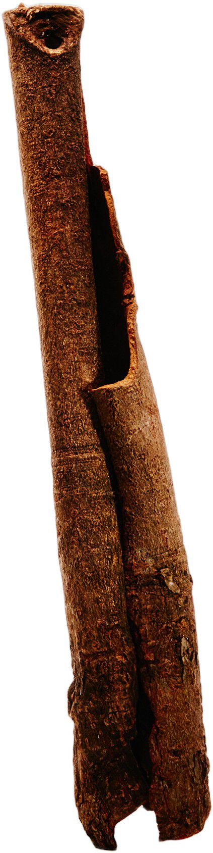 LOEWE Un Paseo por Madrid Dor&eacute; Eau de Parfum 100 ml