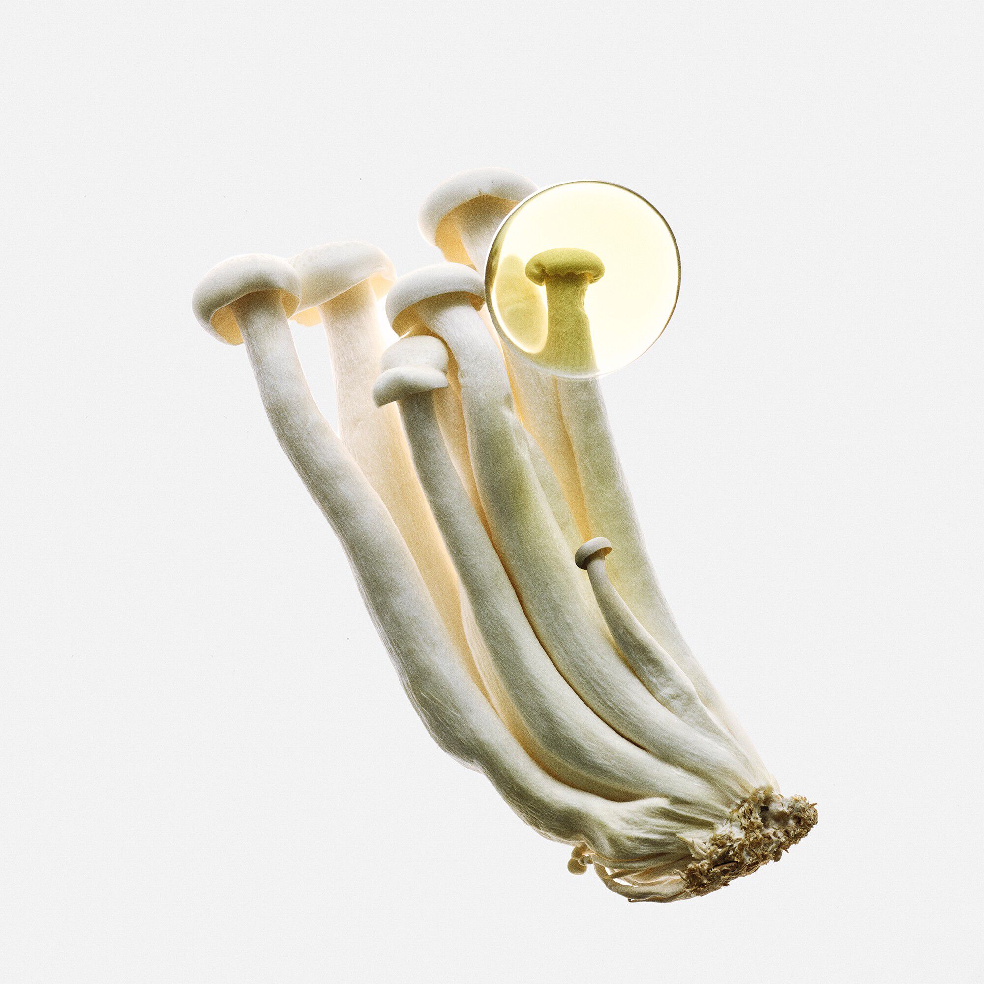 LOEWE Earth Elixir Eau de Parfum