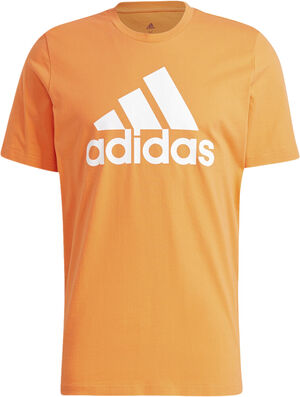 Essentials Big Logo T-shirt