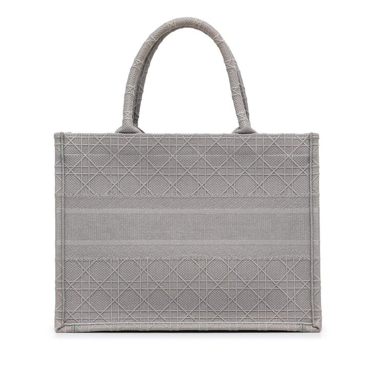 Dior Book Tote