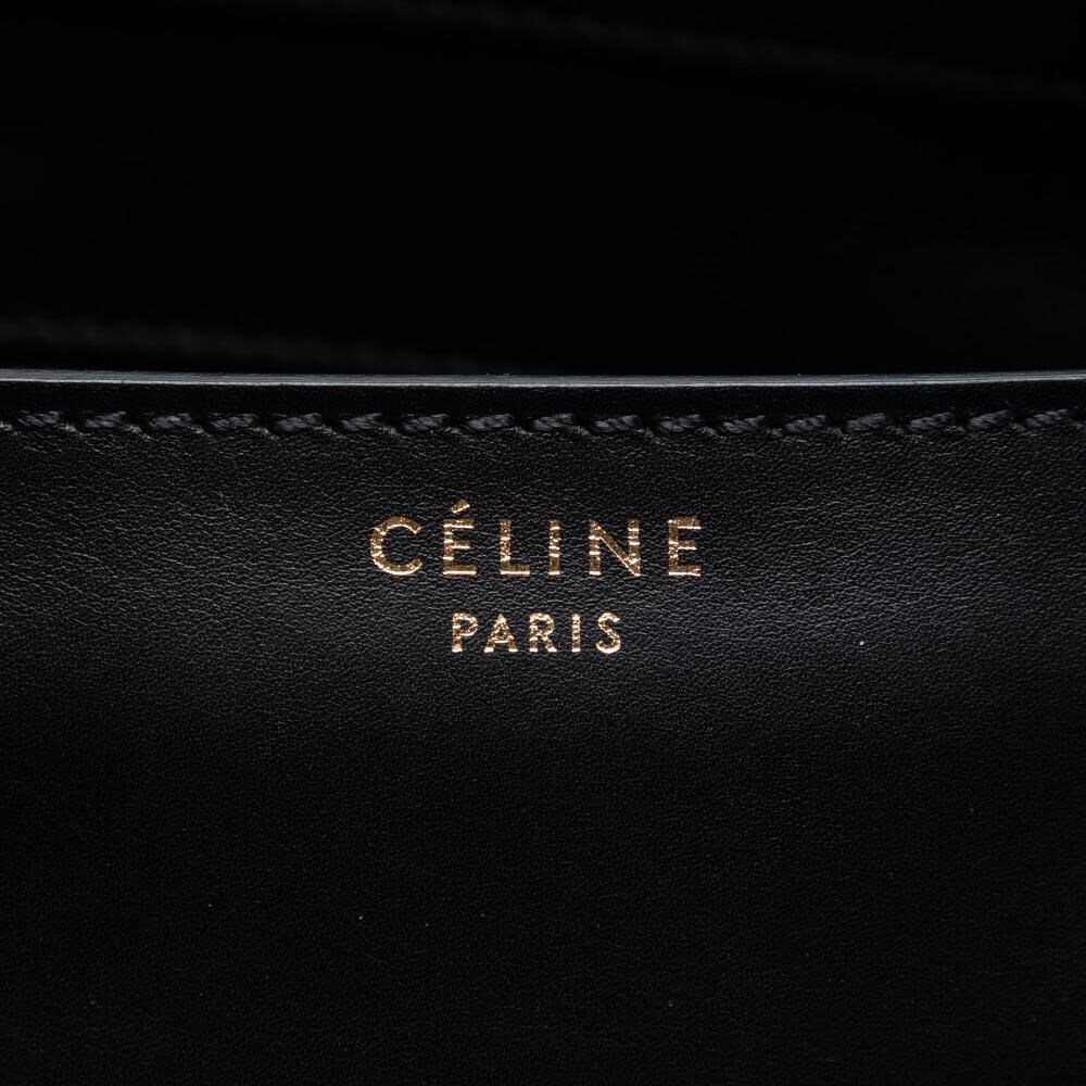 Celine Luggage