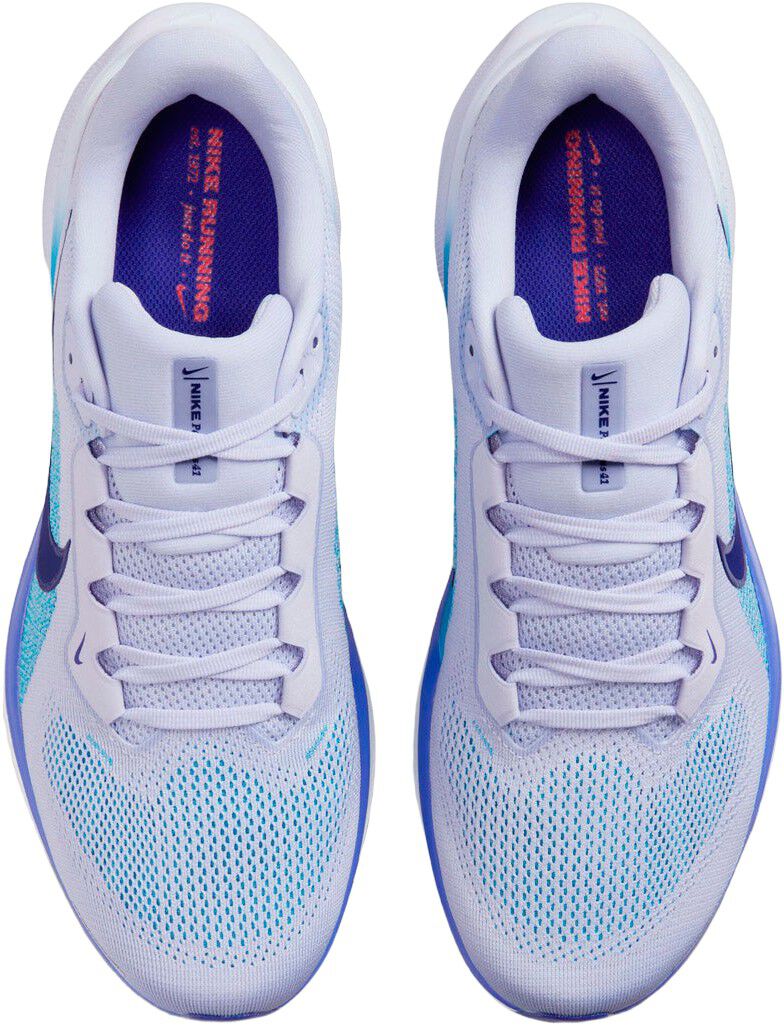 Pegasus 41 L&oslash;besko