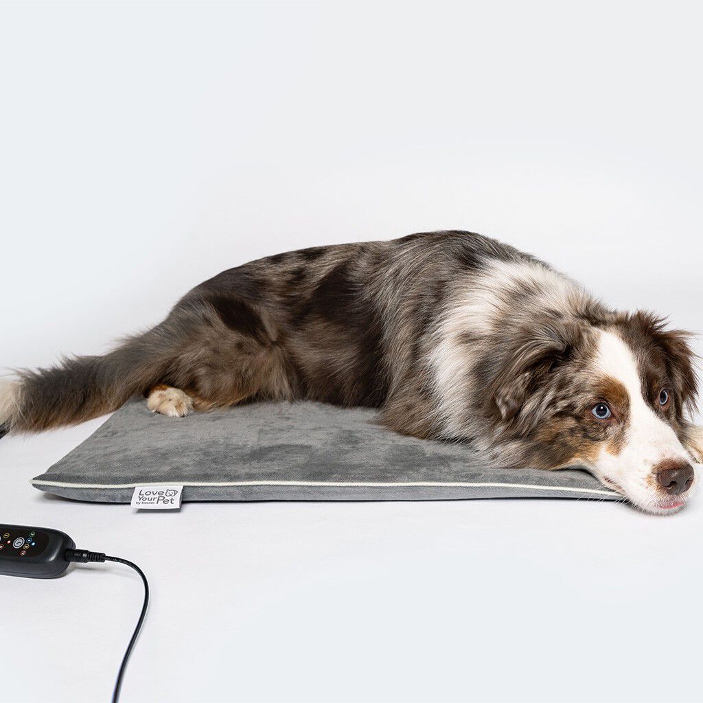 PetCare PP 220 Sammy Varmem&aring;tte til k&aelig;ledyr 65x50 cm